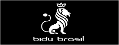 Bidu Brasil